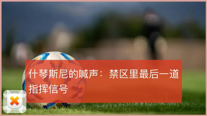什琴斯尼的喊声:禁区里最后一道指挥信号